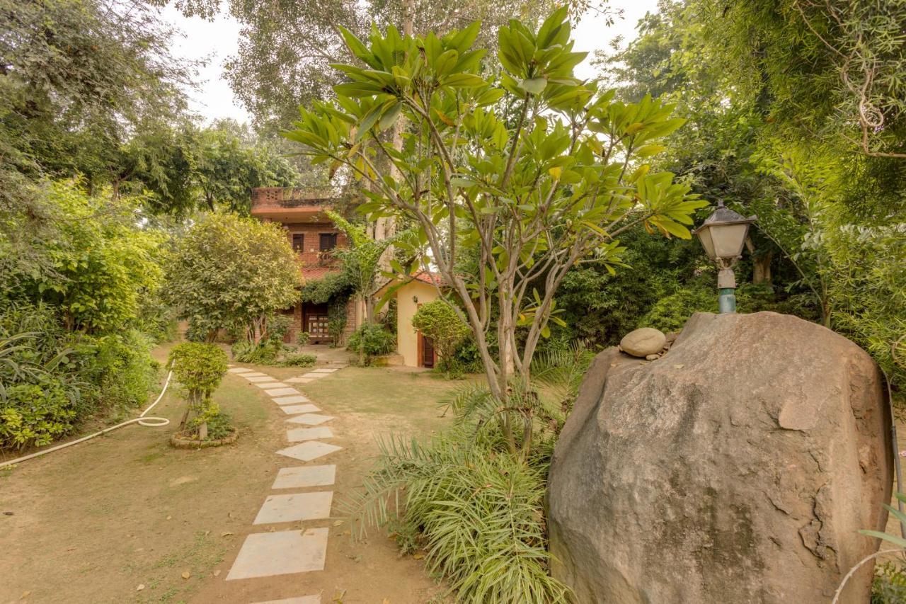 Hostie Chinar Haveli - Heritage Home With Pool, גורגאון מראה חיצוני תמונה