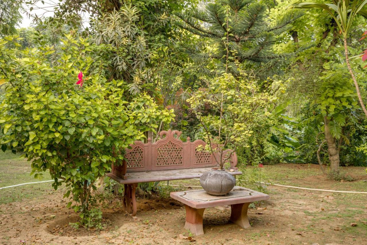 Hostie Chinar Haveli - Heritage Home With Pool, גורגאון מראה חיצוני תמונה