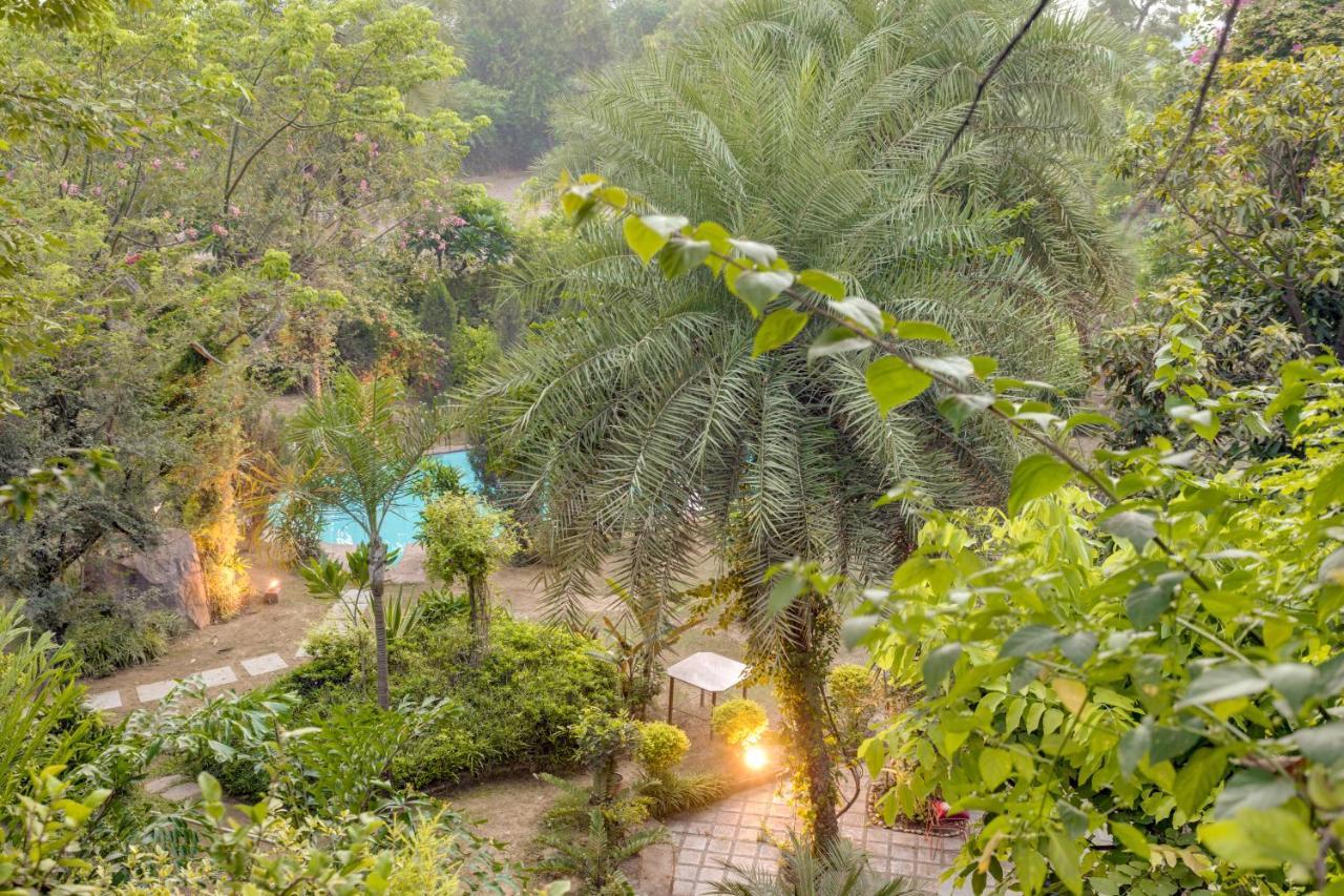 Hostie Chinar Haveli - Heritage Home With Pool, גורגאון מראה חיצוני תמונה