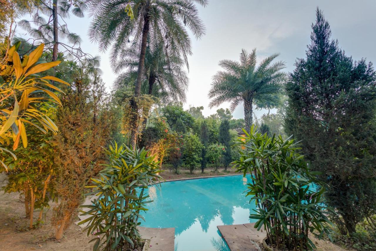 Hostie Chinar Haveli - Heritage Home With Pool, גורגאון מראה חיצוני תמונה