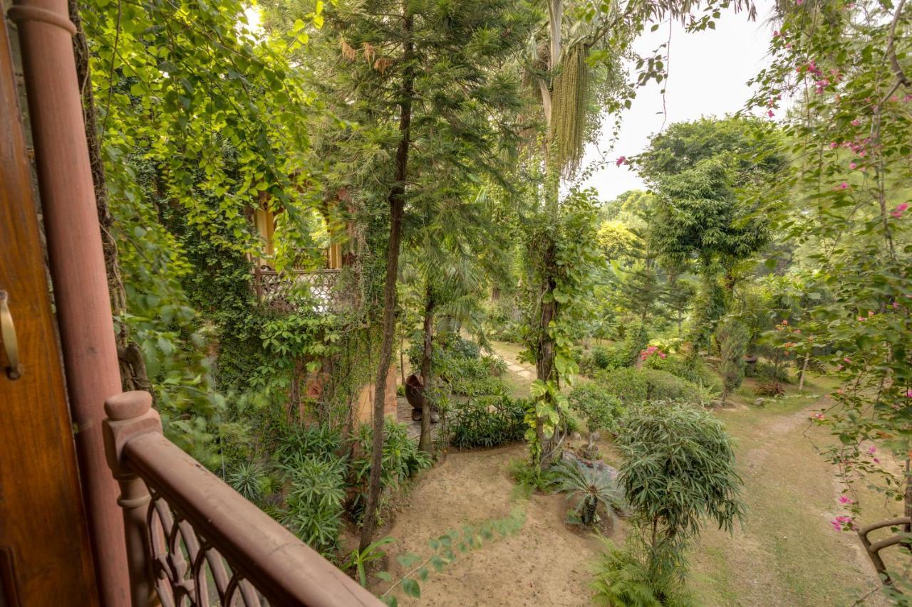 Hostie Chinar Haveli - Heritage Home With Pool, גורגאון מראה חיצוני תמונה