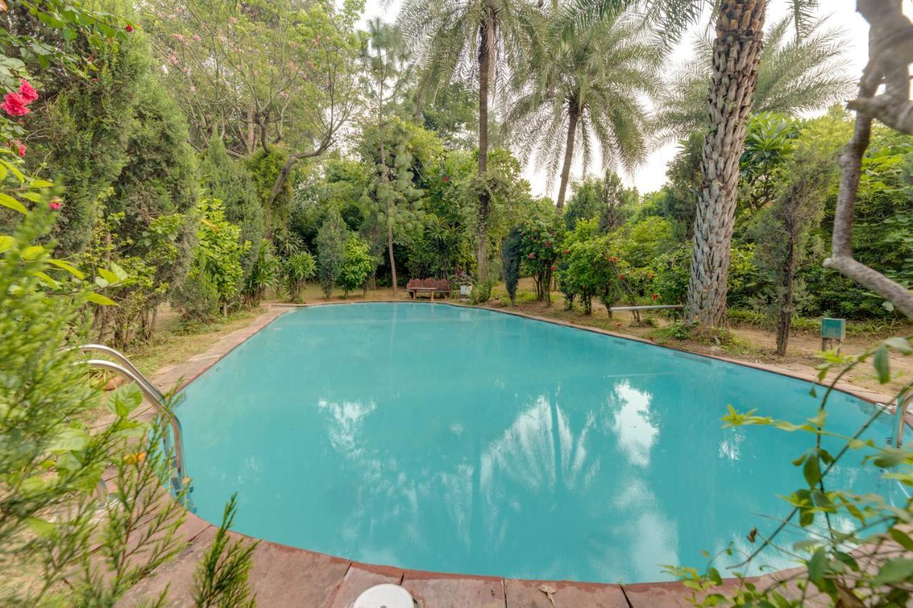 Hostie Chinar Haveli - Heritage Home With Pool, גורגאון מראה חיצוני תמונה